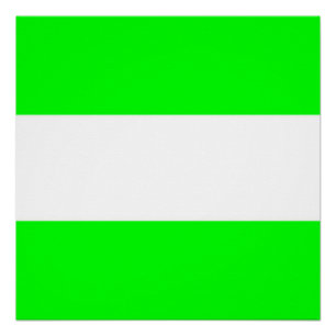 Vlag van Rotterdam Perfect Poster