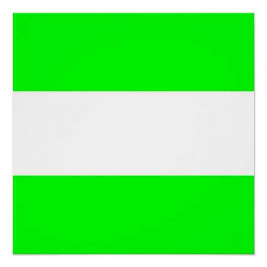 Vlag van Rotterdam Perfect Poster (Voorkant)
