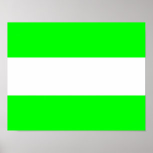 Vlag van Rotterdam Poster