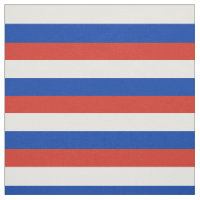 Vlag van Rusland