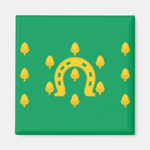 Vlag van Rutland (provincie VK) Magneet