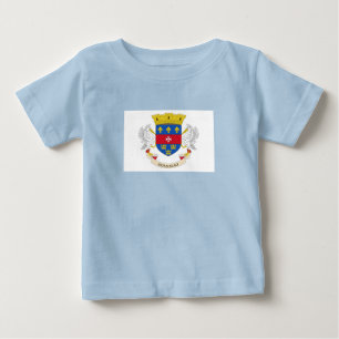 Vlag van Saint-Barthélemy