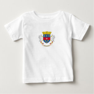 Vlag van Saint-Barthélemy