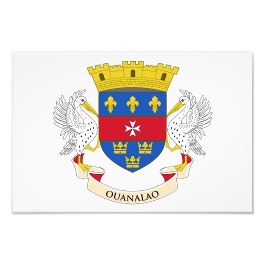 Vlag van Saint-Barthélemy Foto Afdruk (Voorkant)