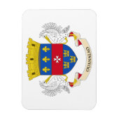 Vlag van Saint-Barthélemy Magneet (Verticaal)