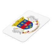 Vlag van Saint-Barthélemy Magneet (Linkerzijde)