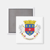 Vlag van Saint-Barthélemy Magneet (Voorkant / Achterkant)