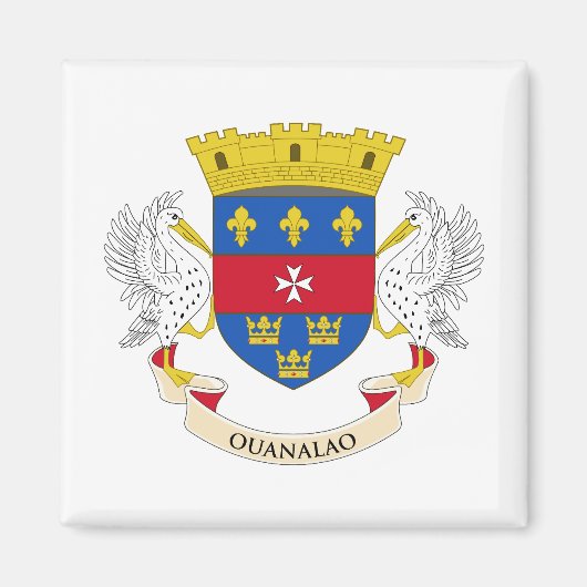 Vlag van Saint-Barthélemy Magneet (Voorkant)