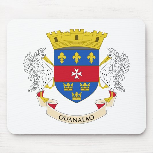 Vlag van Saint-Barthélemy Muismat (Voorkant)