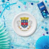 Vlag van Saint-Barthélemy Papieren Bordje (Feest)