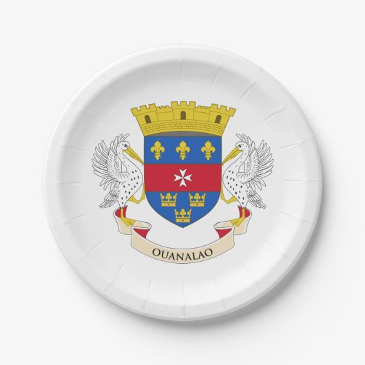 Vlag van Saint-Barthélemy Papieren Bordje (Voorkant)