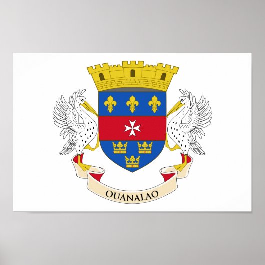 Vlag van Saint-Barthélemy Poster (Voorkant)