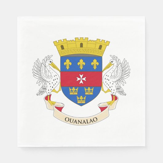 Vlag van Saint-Barthélemy Servet (Voorkant)