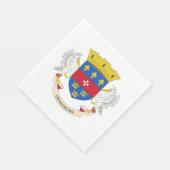 Vlag van Saint-Barthélemy Servet (Hoek)