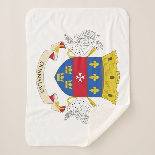 Vlag van Saint-Barthélemy Sherpa Deken (Voorkant)