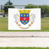 Vlag van Saint-Barthélemy Spandoek (Insitu)
