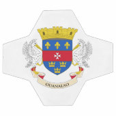 Vlag van Saint-Barthélemy Voetbal (Enkel)