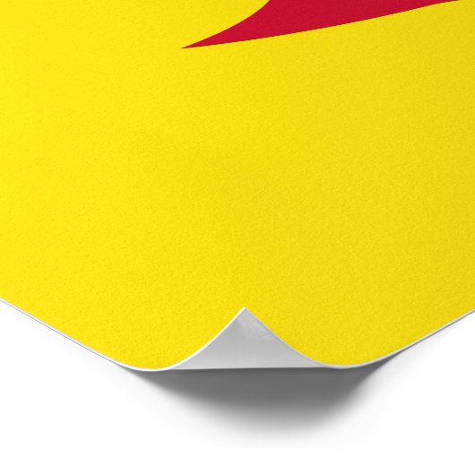 Vlag van Saint Paul (Minnesota) Poster (Hoek)