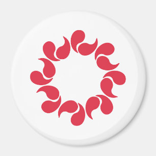 Vlag van Saitama Prefectuur, Japan Magneet