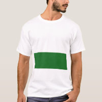 Vlag van Saksen (Duitse staat)