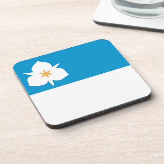 Vlag van Salt Lake City, Utah Bier Onderzetter (Linkerzijde)