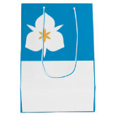 Vlag van Salt Lake City, Utah Medium Cadeauzakje (Achterkant)