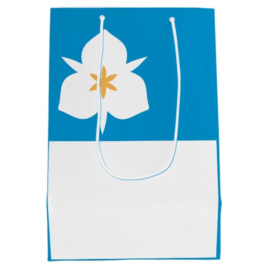 Vlag van Salt Lake City, Utah Medium Cadeauzakje (Achterkant)