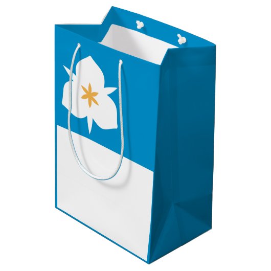 Vlag van Salt Lake City, Utah Medium Cadeauzakje (Achterkant Gekanteld)