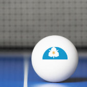 Vlag van Salt Lake City, Utah Pingpongbal (Net)