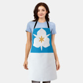 Vlag van Salt Lake City, Utah Schort (Gedragen)