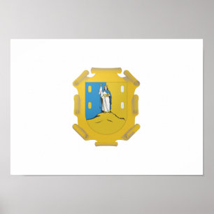 Vlag van San Luis Potosi Poster
