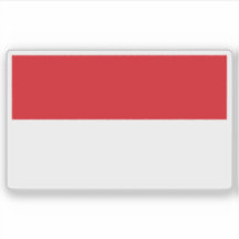 Vlag van San Ramón (San Ramón), Costa Rica