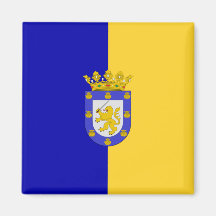 Vlag van Santiago (Chili)