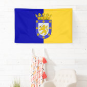 Vlag van Santiago (Chili) Spandoek (Insitu)