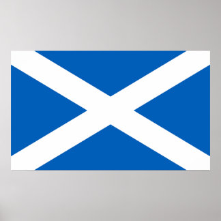 Vlag van Schotland, de vlag van Saltire, het Andre Poster