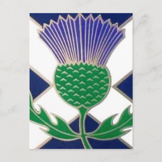 Vlag van Schotland en Thistle Briefkaart (Voorkant)