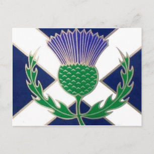 Vlag van Schotland en Thistle Briefkaart