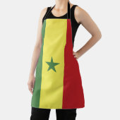 Vlag van Senegal Schort (Insitu)