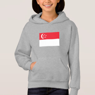 Vlag van Singapore