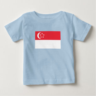 Vlag van Singapore