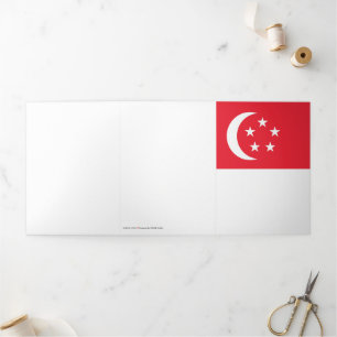 Vlag van Singapore Drieluik Kaart