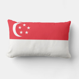 Vlag van Singapore Kussen