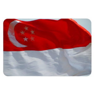 vlag van singapore magneet