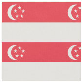 Vlag van Singapore Stof (Close Up)