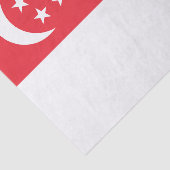 Vlag van Singapore Tissuepapier (Detail)
