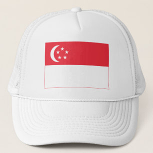 Vlag van Singapore Trucker Pet