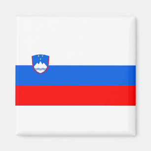 Vlag van Slovenië Magneet