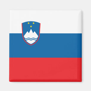 Vlag van Slovenië Magnet