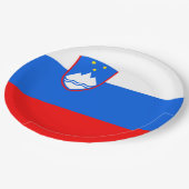 Vlag van Slovenië Papieren Bordje (Gekanteld)