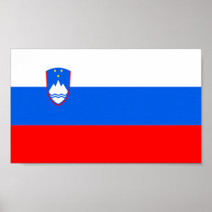 Vlag van Slovenië Poster